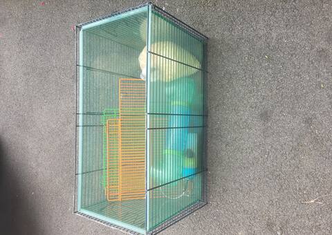 Accessoires pour animaux cage hamster, gerbille