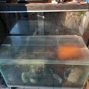 Accessoires pour animaux terrarium