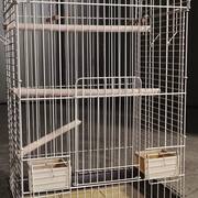 Accessoires pour animaux cage oiseaux