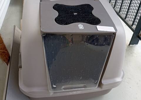 Accessoires pour animaux litière chat