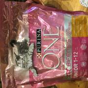 Accessoires pour animaux croquettes pour le chat