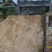 Bricolage sciure