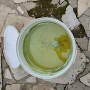 Bricolage peinture verte