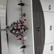 Divers sapins de noel