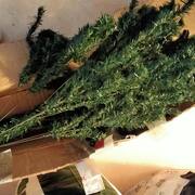 Divers sapin vert en plastique