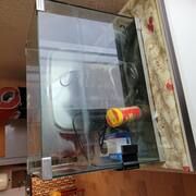 Divers aquarium avec accessoires
