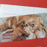 Divers carte Meilleurs Vœux "Chienne et ses petits"