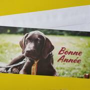 Divers carte Bonne année "Chien noir"