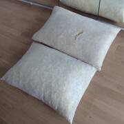 Divers 2 coussins en mousse