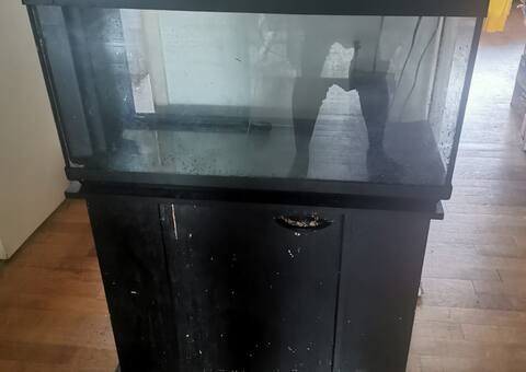 Divers aquarium