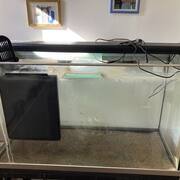 Divers aquarium