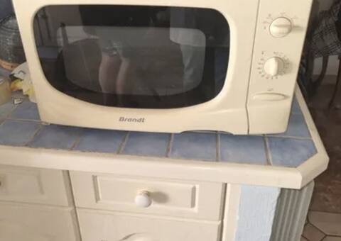 Electroménager micro onde