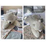Equipements pour Bébé, Enfants, Puériculture peluche ours