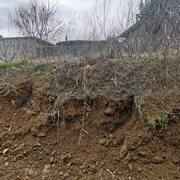 Jardinage environ 60m3 de terre végétale sans cailloux