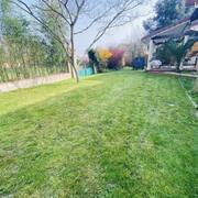 Jardinage terre