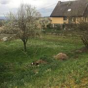 Jardinage terre végétale
