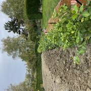 Jardinage terre (non végétale)