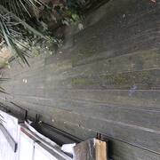 Jardinage Planches en pin pour terrasse