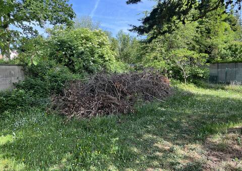 Jardinage tas de bois, branche, branchage pour copeaux