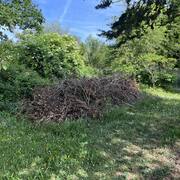 Jardinage tas de bois, branche, branchage pour copeaux