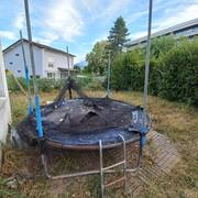 Jeux, Jouets trampoline