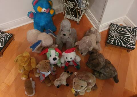Jeux, Jouets une douzaine de peluches