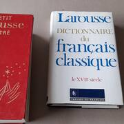 Livres-Revues dictionnaireS