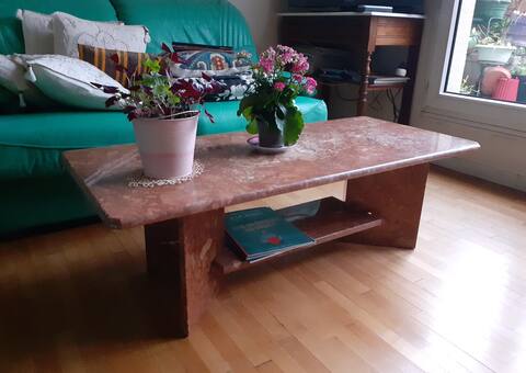 Meubles jolie table basse en marbre