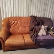 Mobilier salon cuir marron