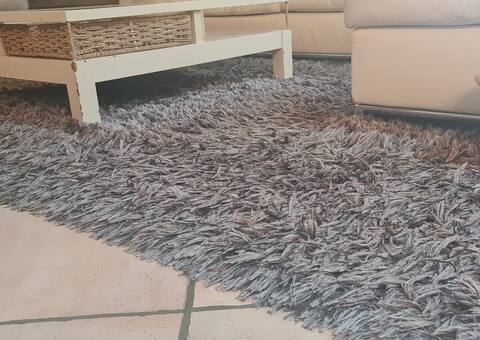 Mobilier grand tapis salon shaggy gris