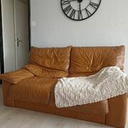 Mobilier 2 canapés d'occasions