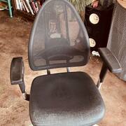 Mobilier siège de bureau Ergonomique CORTEX express