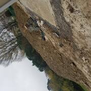 Terre et gravats terre