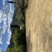 Terre et gravats terre ( suite chantier construction maison)