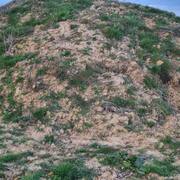 Terre et gravats de terre végétale