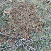 Terre et gravats je donne 80m3 environ de la terre de mon jardin gratuitement décaissé dans des b