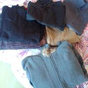 Vêtements vêtements homme